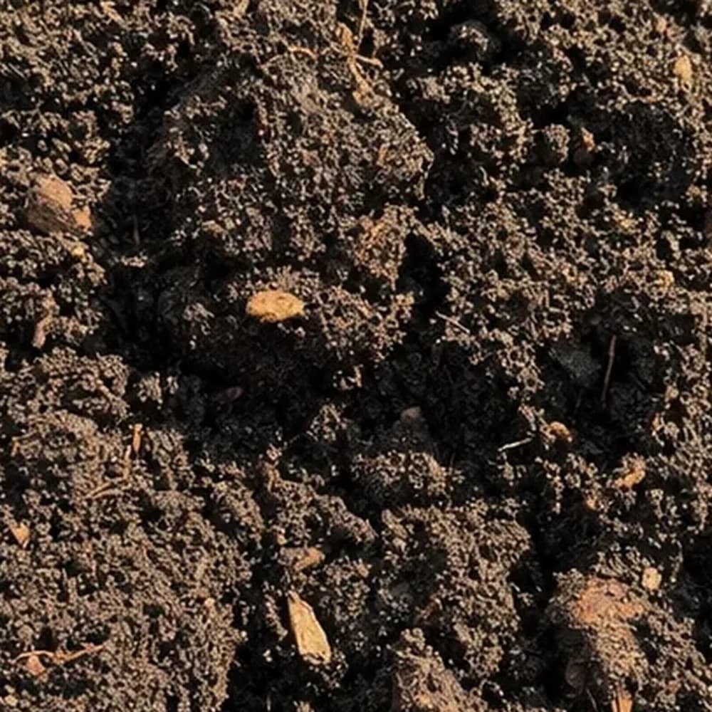 Garden Soil